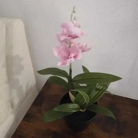 Emerald Guest house Florence